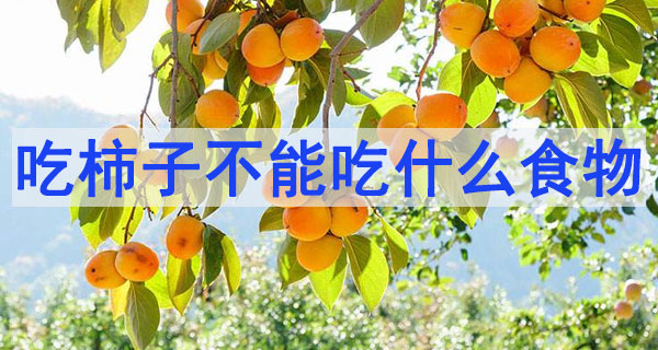 柿餅相克表