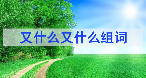 又什么又什么四字詞語