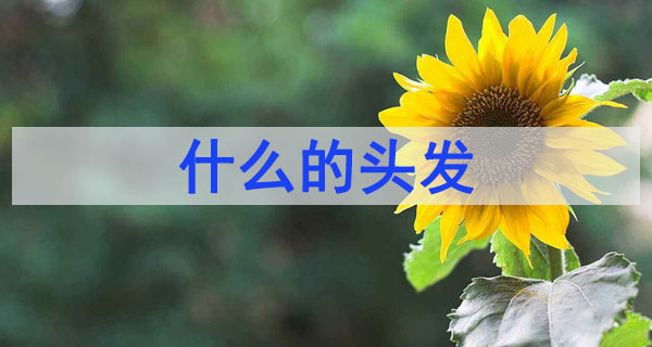 什么的頭發(fā)填空