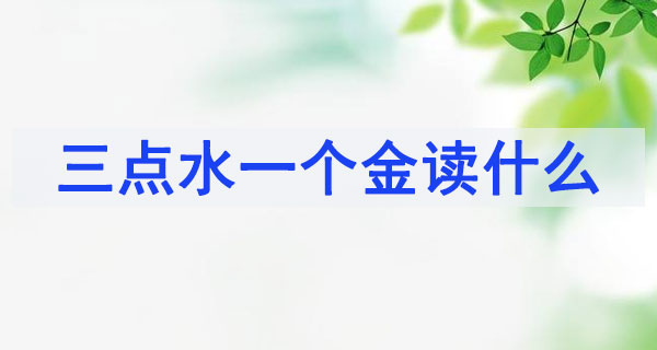 淦念什么