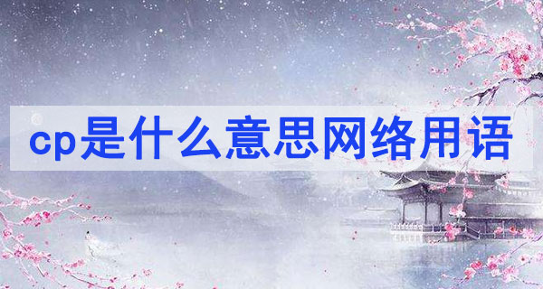 cp的真正意思是什么