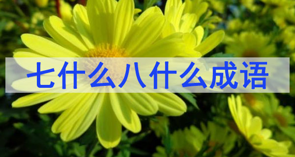 七什么八什么成語大全