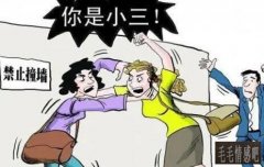 專業分離小三的機構（正規拆散小三多少錢）